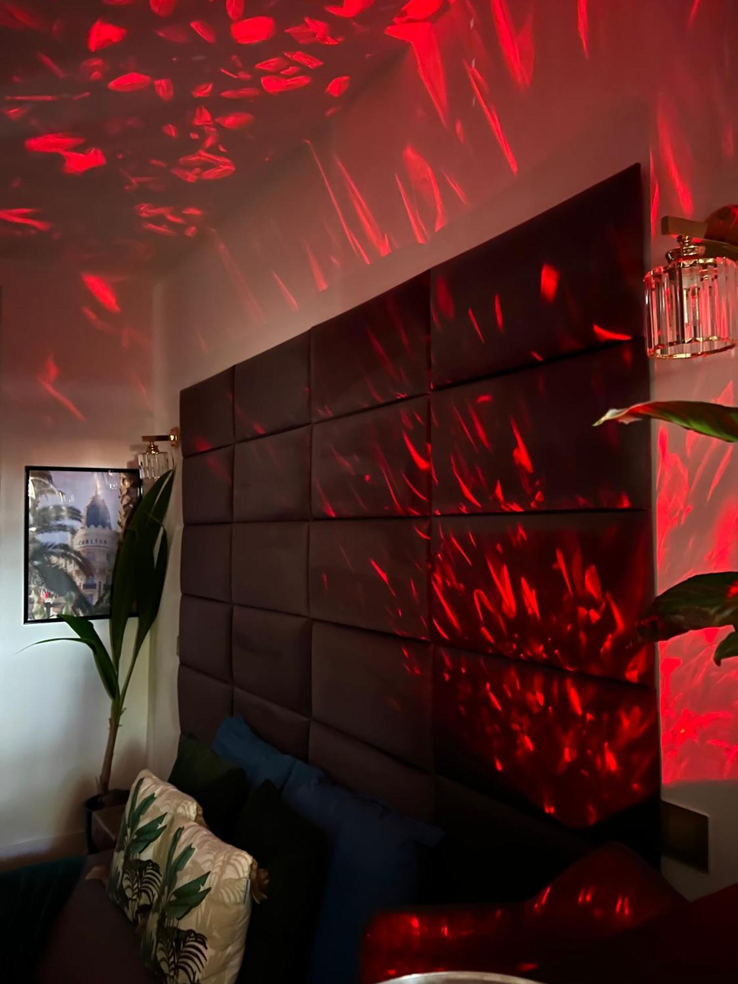 Le Petit Carlthon Apartment Cannes