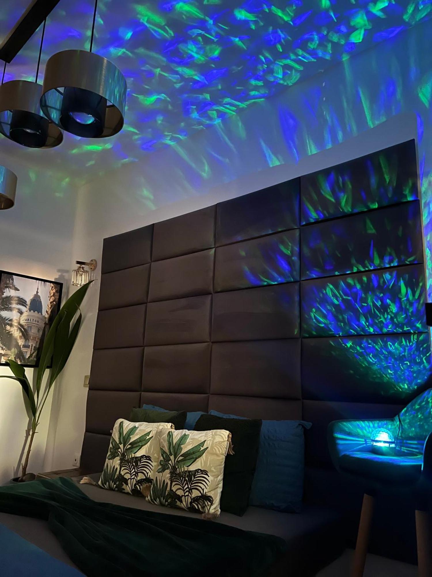Le Petit Carlthon Apartment Cannes